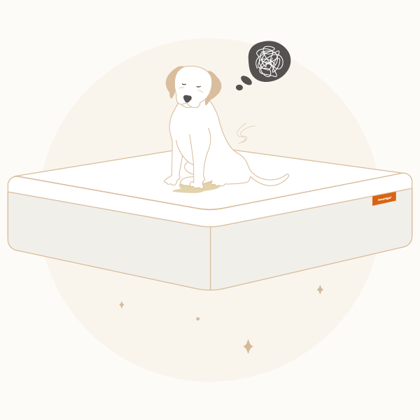 Banish Odors: How to Get Pee Out of a Mattress